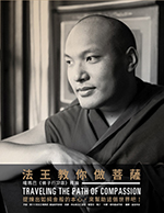 karmapa 02s